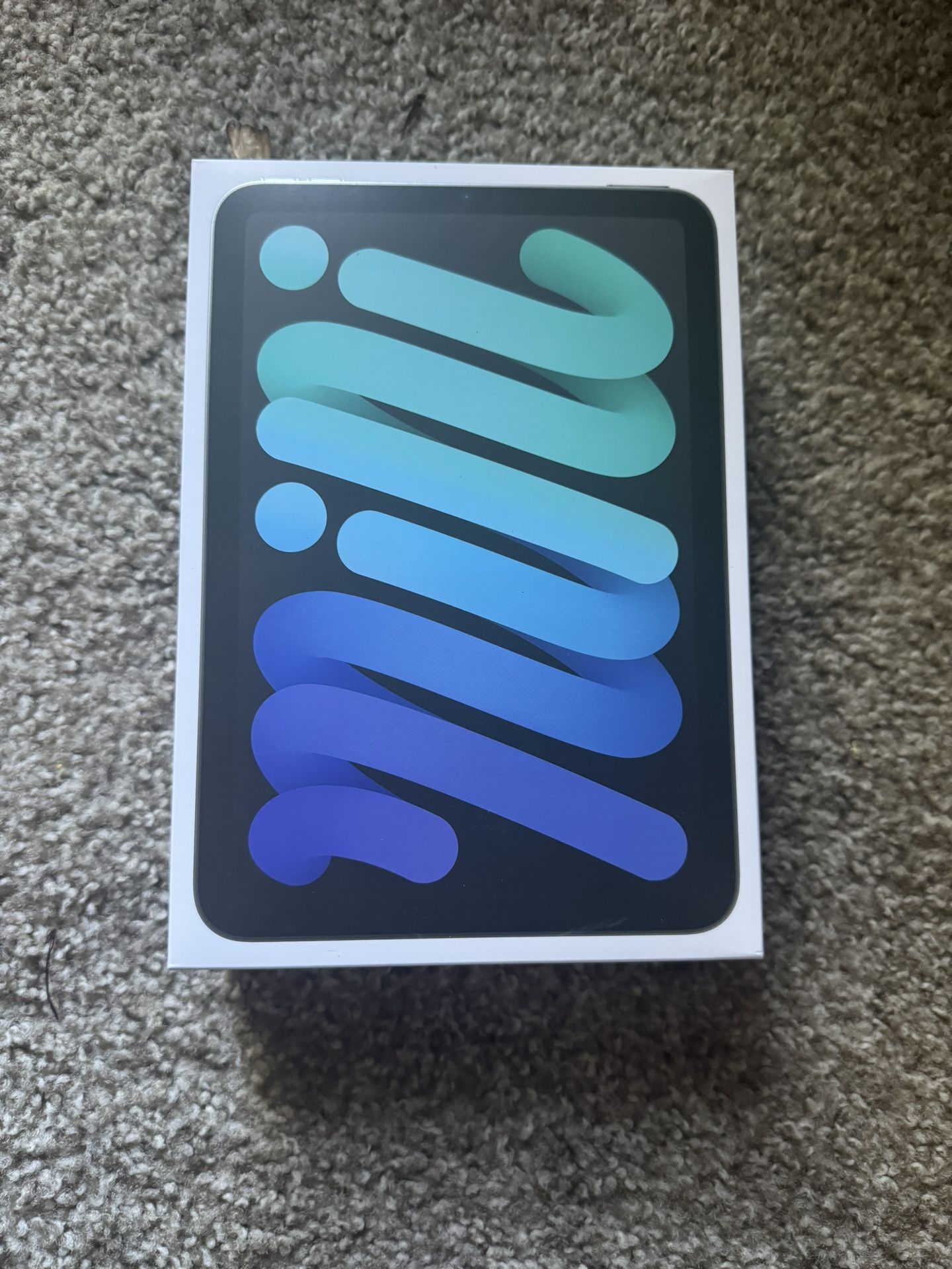 Brand New iPad Mini