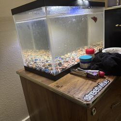 10 Gallon Fish Tank 