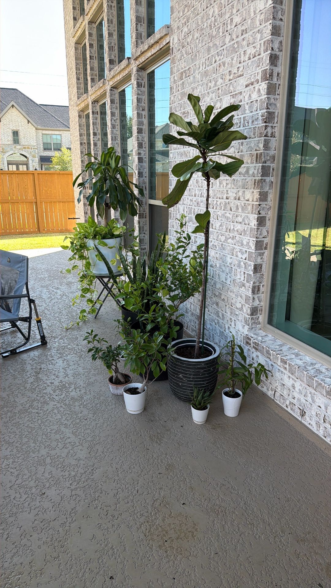 Come Pick Your Plant. Moving Sale. Make An Offer