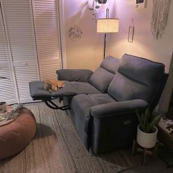 Loveseat Power Recliner
