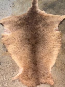 Deer Hide Skin Rug