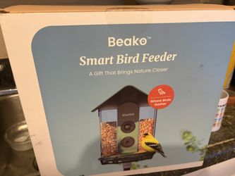 Bird Feeder Camara 