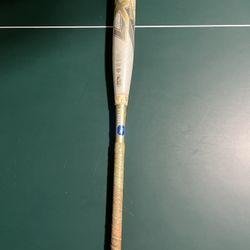 Louisville LXT 19 Fastpitch Bat 33 In Drop 10
