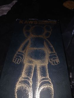 Kaws 2020