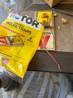 Mouse traps