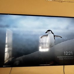 65” Tv black /Philips tv 