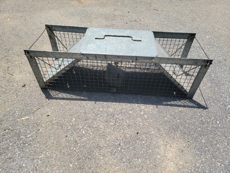 Small Animal Trap