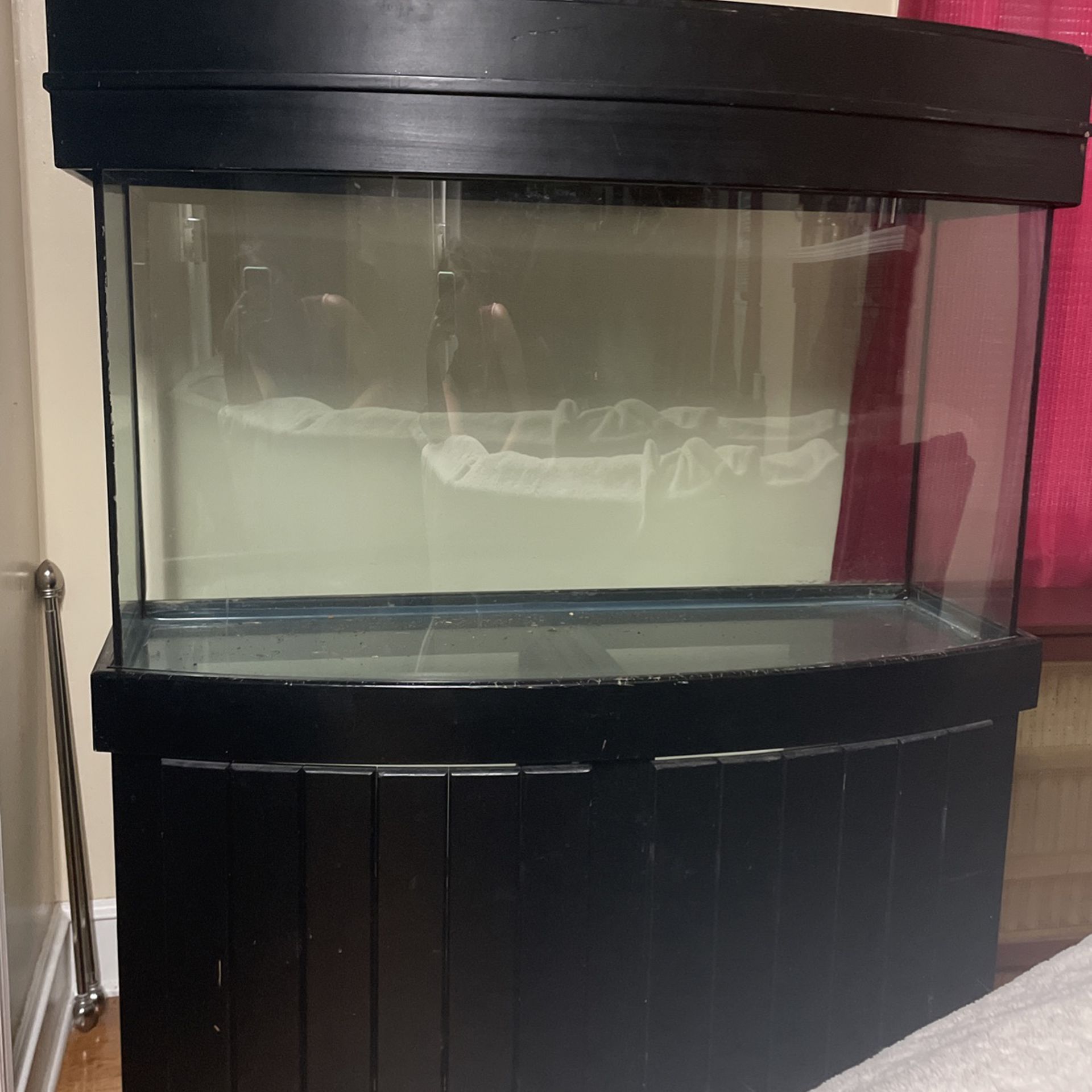 90 Gallon Bow Front Tank With Stand. 