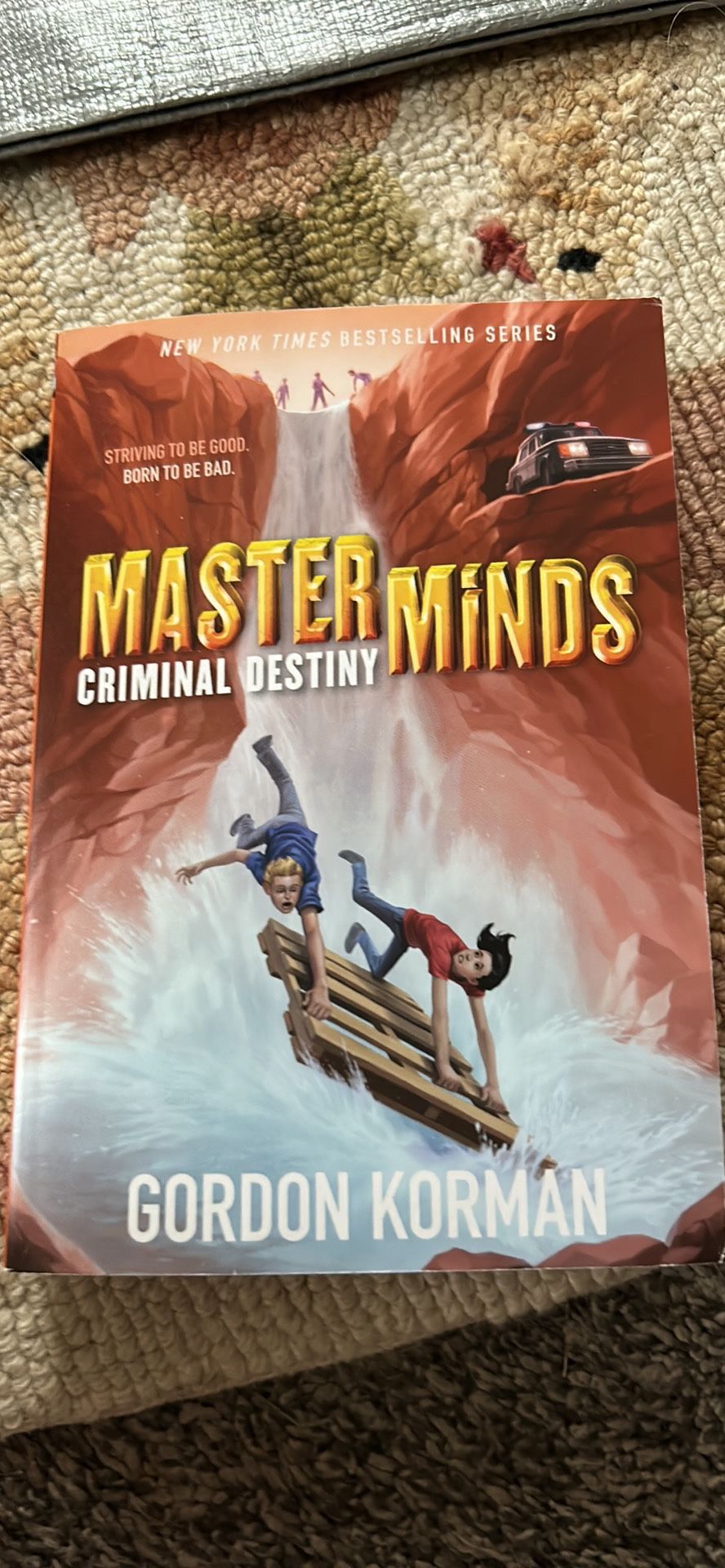 Master Minds Criminal Destiny (Book 2)