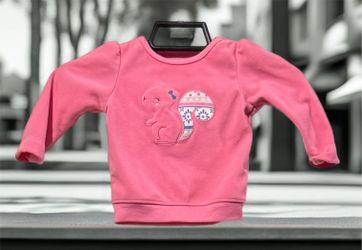 Child O Mine (Y) By Carters Baby Girls Shirt 3-6 mos Pink Squirrel L Sleeve EUC