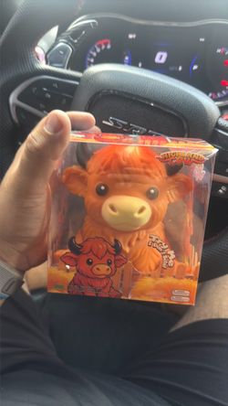Highland cow squishy