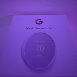 Google Nest Thermostat 