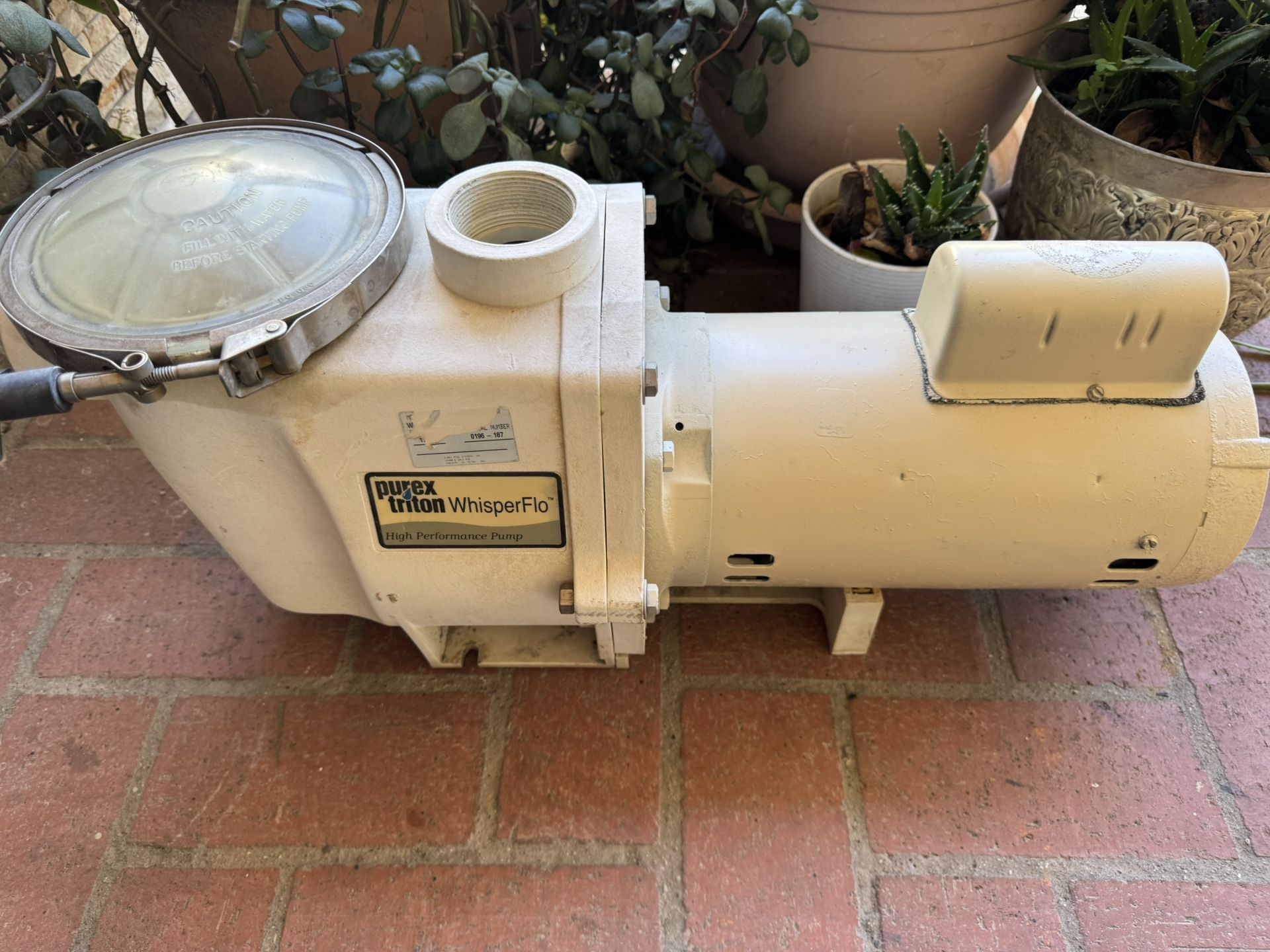 Century Centurion Pool Pumpnull