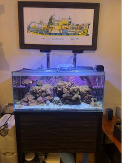 Reef aquarium with stand 36 gallon