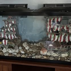 55 Gallon Fish tank With Ornament