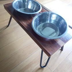 Dog Bowl 
