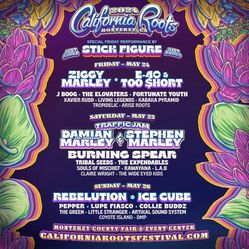 California Roots Music Festival