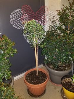 Minnie Ball Topiary Plant - 18"