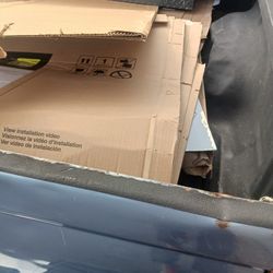 Freeee Es Algo De Carton