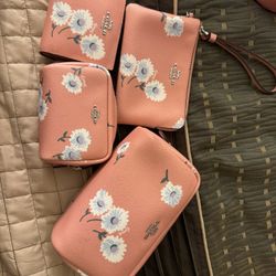 Coach Bag Set 