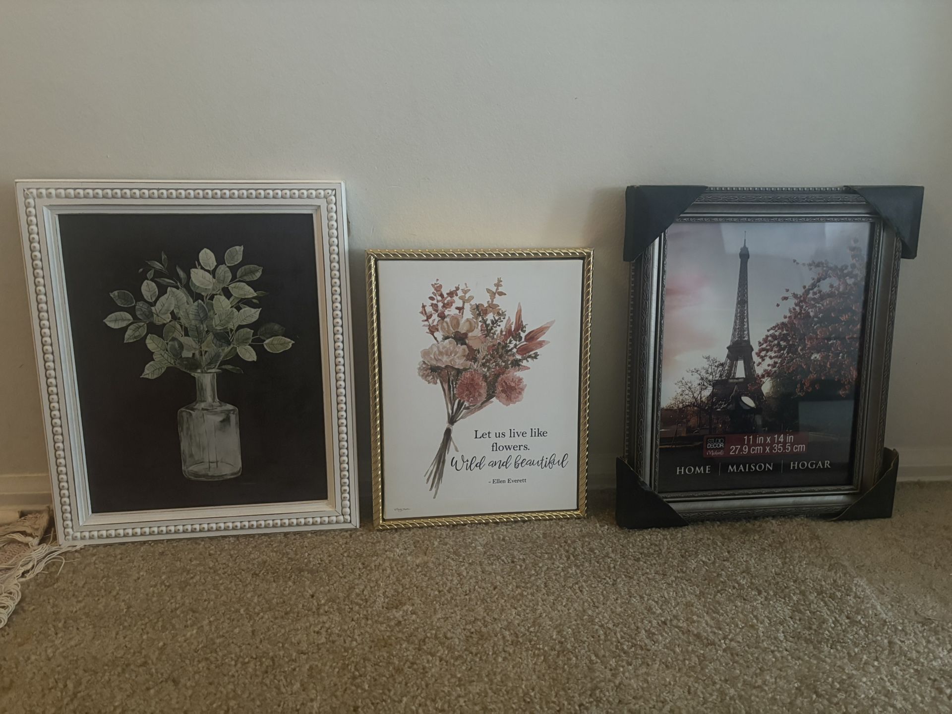 Painting And Frame  $5 Each 