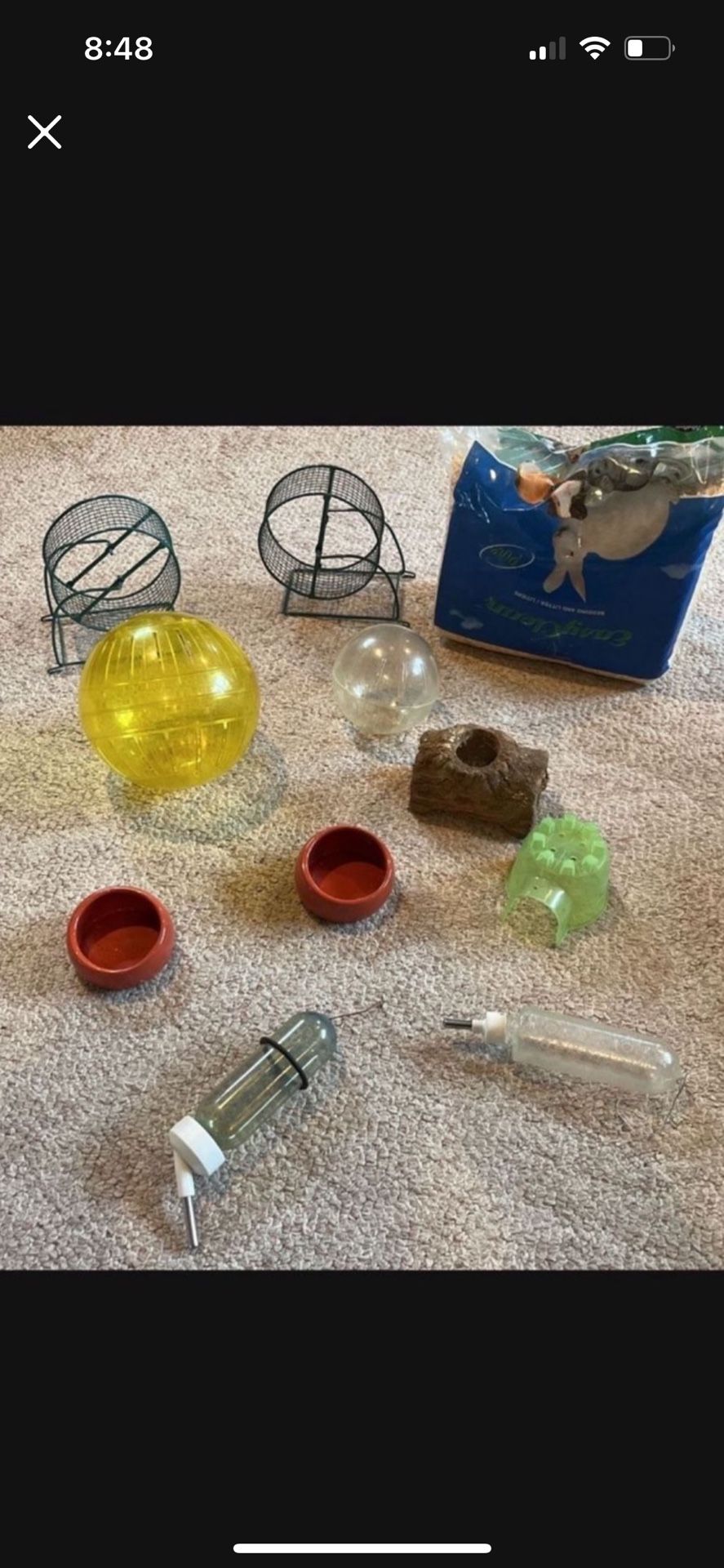 Hamster & Gerbil Toys - All You See For 20.00 Dollars