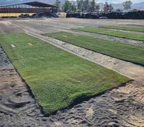HUGE ROLLS ONLY $140 / USED ARTIFICIAL GRASS / SYNTHETIC GRASS