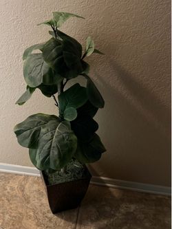 Fake plant