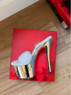 Size 7 and Size 8 Pleaser Shoes: Silver Chrome