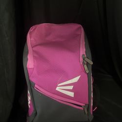 Softball bag