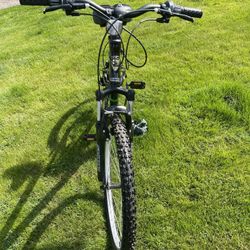 Iron Horse 