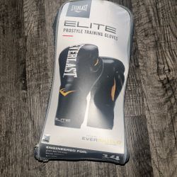 Elite EVERLAST Boxing Gloves