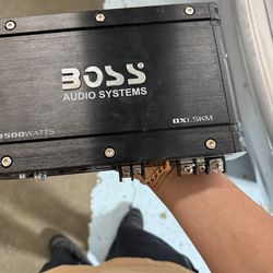 Boss Amp subwoofer speakers
