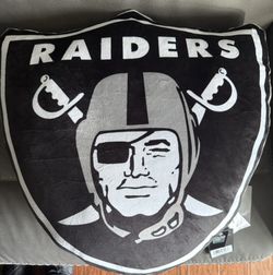 Awesome Large Raider Shield Pillow. Super soft, amazing detail!