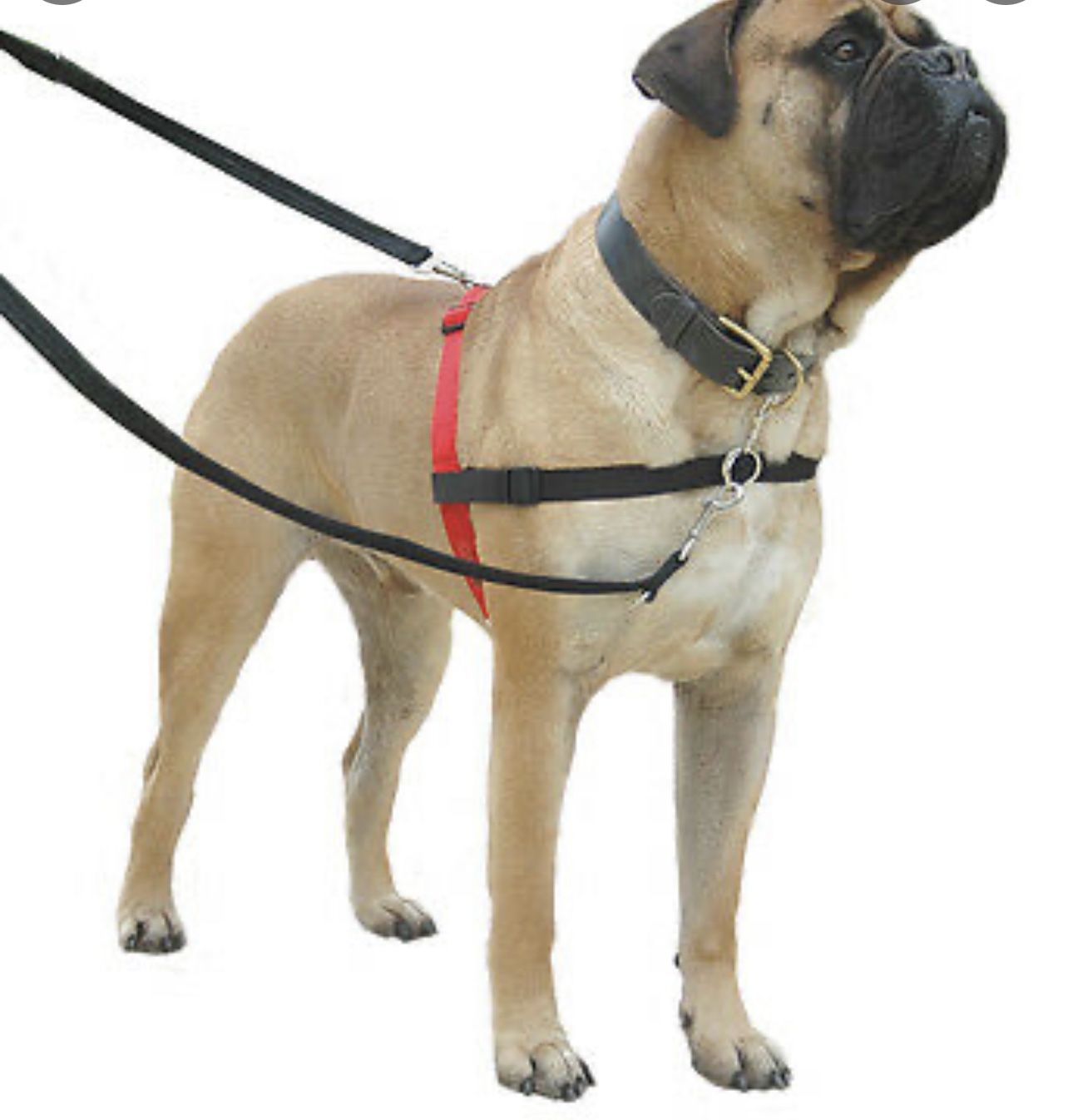 Halti Non Pull Harness For Large Dogs L Size Dog Training Control