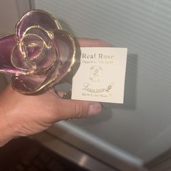 24k gold dipped rose