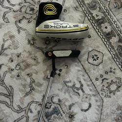 Odyssey Stroke Lab 34 