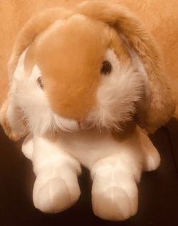 Fluffy Bunny and Lion King Toy