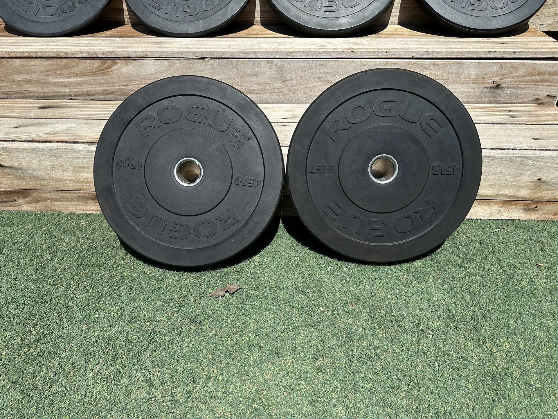 Rogue Fitness MIL Spec Echo 45 LB Bumper Plates Pair