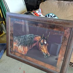Nice Horse Picture