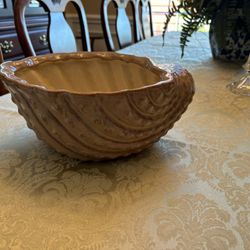 Seashell Planter - Decorative Bowl