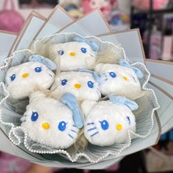 Hello Kitty Plushie Bouquet 