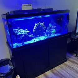 75 Gallon Aquarium / Saltwater Tank 