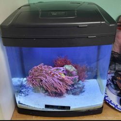 Biocube 14gal Complete Setup