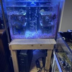 Acrylic Aquarium Fish Tank ($250)