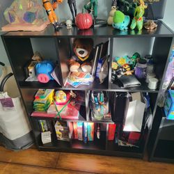 Bookcase/Shelves