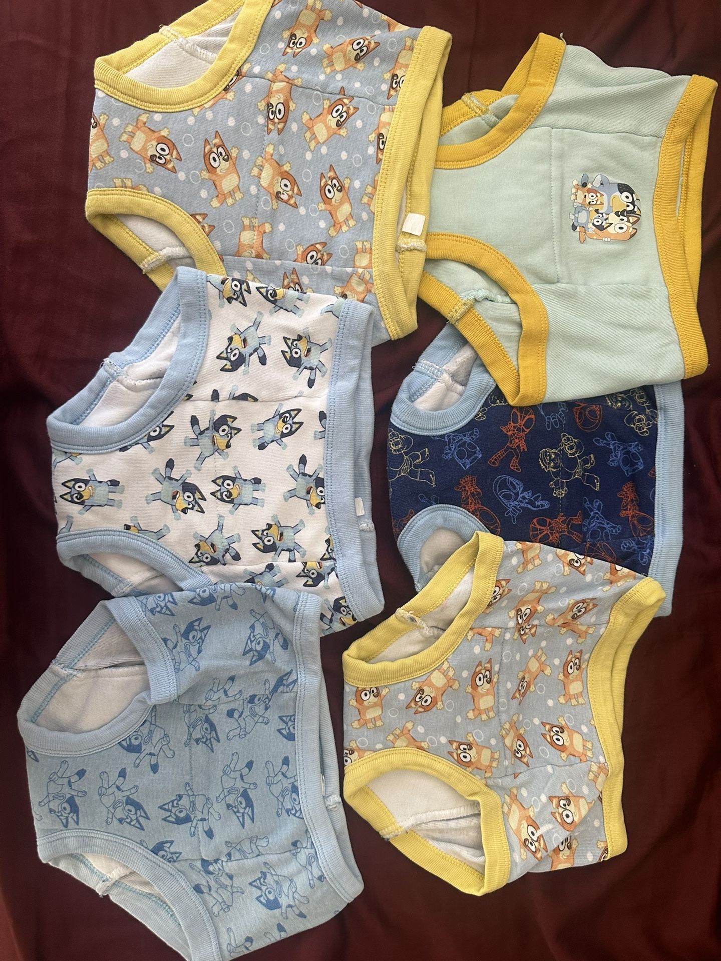 Potty Training Underwear