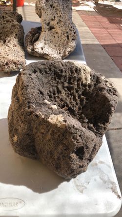 Bonsai 🤔   Lite weight stone