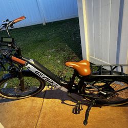 Cityrun E-Bike