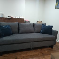 Sleeper Sofa with Storage, $600